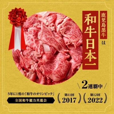 A4・A5等級　鹿児島黒牛カルビ焼肉用(約600g)　A01018