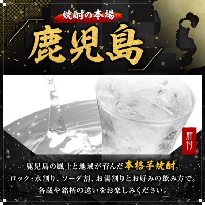 小鹿酒造・お手軽セット!小鹿・小鹿黒 (各1800mlパック・計2本) A44008