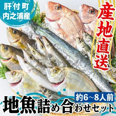 魚屋さんの選んだ新鮮お魚詰め合わせ(約6～8人分)　C09001