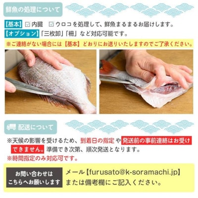 魚屋さんの選んだ新鮮お魚詰め合わせ(約6～8人分)　C09001