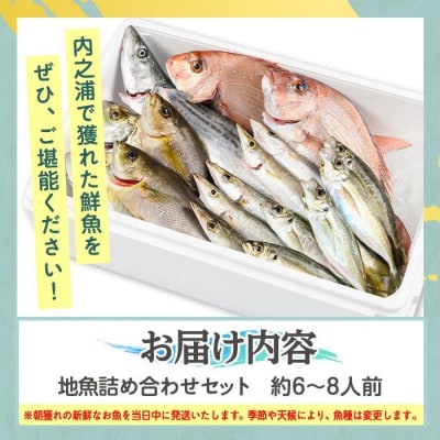 魚屋さんの選んだ新鮮お魚詰め合わせ(約6～8人分)　C09001