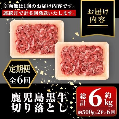 ＜定期便・全6回・連続月＞鹿児島黒牛 切り落とし(計約6kg・約500g×2P×6回)　E01010