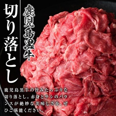 ＜定期便・全6回・隔月＞鹿児島黒牛 切り落とし(計約6kg・約500g×2P×6回)　E01011