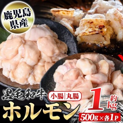 鹿児島県産黒毛和牛 ホルモン 小腸 丸腸 セット (計約1kg・約500g×各1P)　A01038