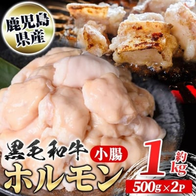鹿児島県産黒毛和牛 ホルモン 小腸 (計約1kg・約500g×2P) A01039