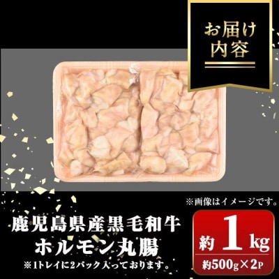 鹿児島県産黒毛和牛 ホルモン 丸腸 (計約1kg・約500g×2P) A01037