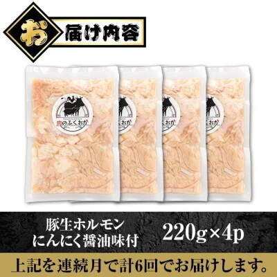 ＜定期便・全6回＞豚生ホルモンにんにく醤油味付(計5.28kg・220g×4P×6回)　C79011