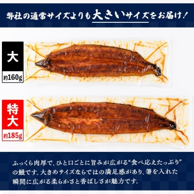 特大うなぎ蒲焼(有頭)(2尾・計370g以上、タレ、山椒付) 　B57005