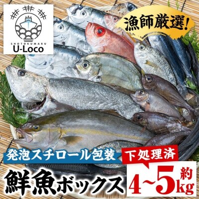 漁師厳選!ロコフィッシュ(地魚) 鮮魚 ボックス(約4～5kg)【発泡スチロール包装】　B78001