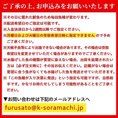 漁師厳選!ロコフィッシュ(地魚) 鮮魚 ボックス(約4～5kg)【発泡スチロール包装】　B78001