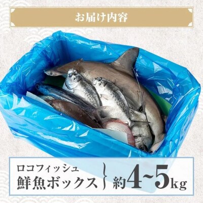漁師厳選!ロコフィッシュ(地魚) 鮮魚 ボックス(約4～5kg)【発泡スチロール包装】　B78001