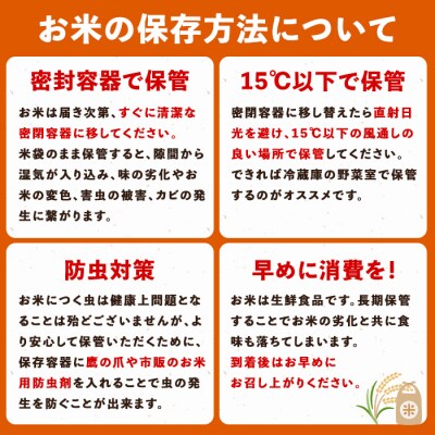 令和8年産 鹿児島県産 コシヒカリ 5kg　A95002