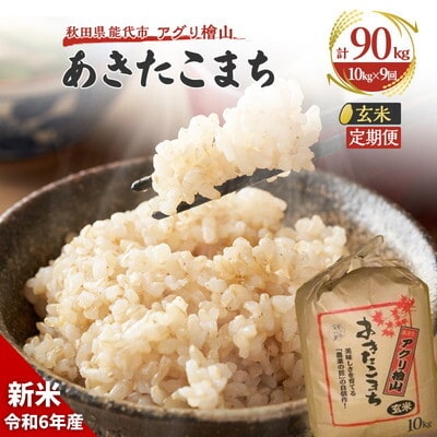  《定期便9ヶ月》【玄米】秋田県産 あきたこまち 10kg×9回 [No.5335-0608]