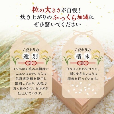  《定期便8ヶ月》【白米】秋田県産 あきたこまち 10kg×8回 [No.5335-0643]