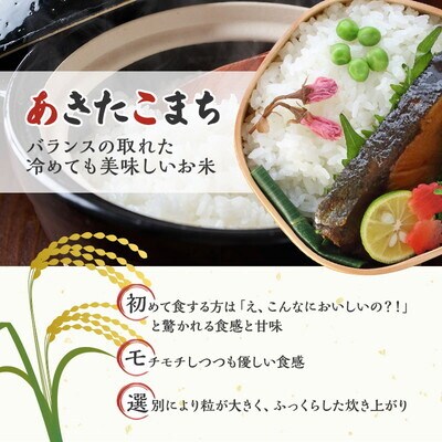  定期便 2回【白米】秋田県産 あきたこまち 10kg(5kg×2)  [No.5335-0649]