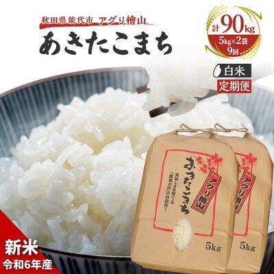  定期便 9回【白米】秋田県産 あきたこまち 10kg(5kg×2)[No.5335-0656]