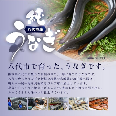 【先行予約】 うなぎ蒲焼3尾セット(200g×3尾)合計600g たれ・山椒付き_309-7174