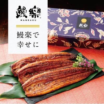 【先行予約】 うなぎ蒲焼3尾セット(200g×3尾)合計600g たれ・山椒付き_309-7174