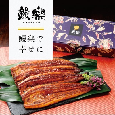 【先行予約】 うなぎ蒲焼4尾セット(190g×4尾)合計760g たれ・山椒付き_309-7175