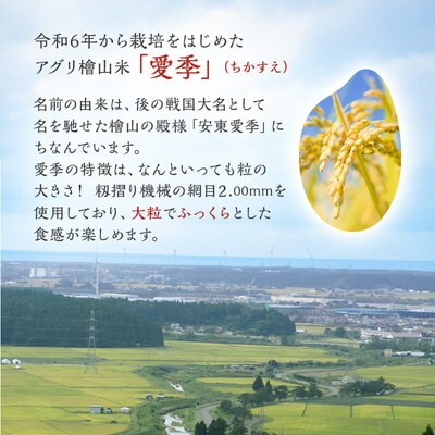 令和7年産 アグリ檜山米 愛季 玄米 10kg  あきたこまち[No.5335-1662]