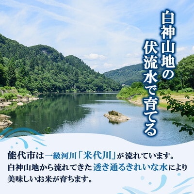 令和7年産 無洗米 佐藤家の米 あきたこまち 10kg[No.5335-1951]