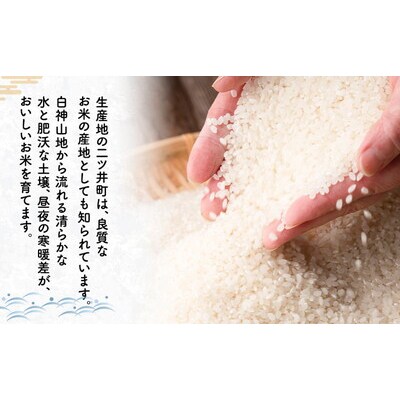 【令和8年度産】新米 あきたこまち 5kg 精米 秋田県産[No.5409-0019]