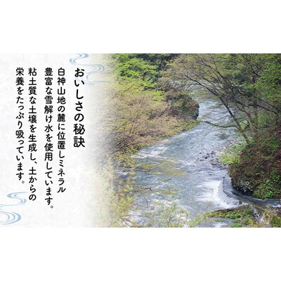 《定期便3ヵ月》【令和8年度産】新米 あきたこまち 5kg 精米[No.5409-0023]
