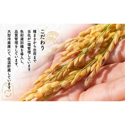 《定期便3ヵ月》【令和8年度産】新米 あきたこまち 5kg 精米[No.5409-0023]