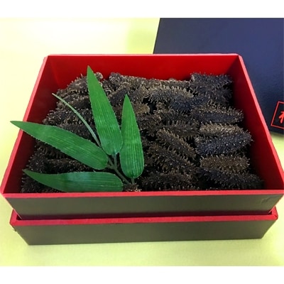 高級 北海道産 乾燥なまこ(淡干仕上げ)