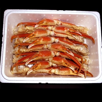 紋別産ズワイガニ切足(2kg)