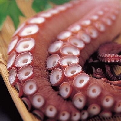 オホーツク産タコ足 1kg前後 お礼品詳細 ふるさと納税なら さとふる オホーツク産タコ足 1kg前後 お礼品詳細 ふるさと納税なら さとふる