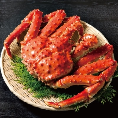 オホーツク産タラバガニ姿【2.2kg~】
