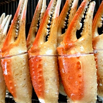 紋別産本ズワイガニボイル爪 大 1kg