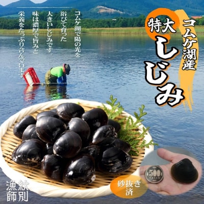 【紋別市コムケ湖産】 手獲り特大しじみ　600g