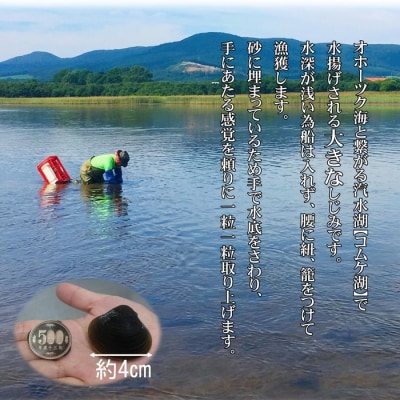 【紋別市コムケ湖産】 手獲り特大しじみ　600g