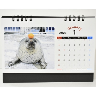 あぐと日和のキーホルダー 各1個 とっかりセンターアザラシカレンダー アザラシシーパラダイスグッズ お礼品詳細 ふるさと納税なら さとふる