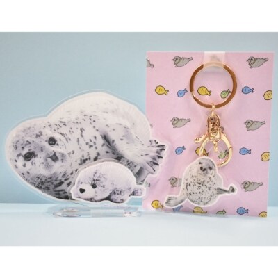 日和のアクリルスタンド キーホルダー アザラシシーパラダイスグッズ お礼品詳細 ふるさと納税なら さとふる