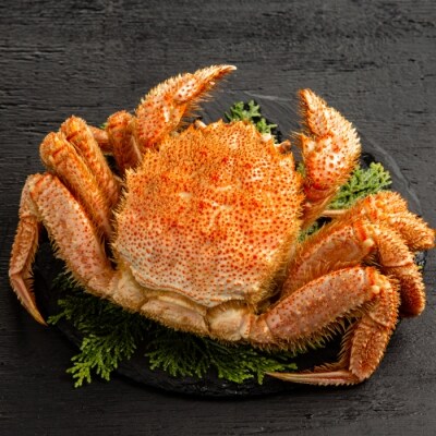 流氷明け浜ゆで毛ガニ約400g×2尾