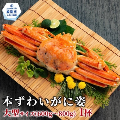 【訳あり】本ずわいがに姿　大型サイズ1杯 約600～800g
