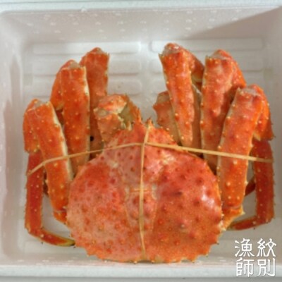 【北海道紋別産】たらばがに姿(2.0kg～2.4kg)