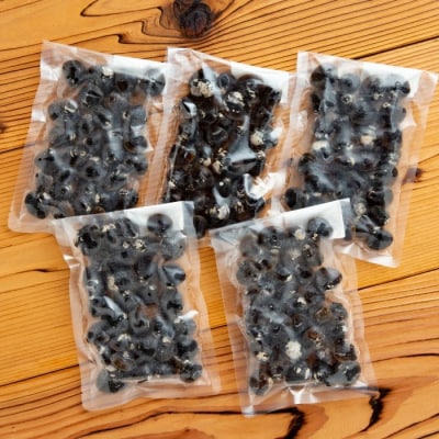 冷凍砂出ししじみ　5袋セット