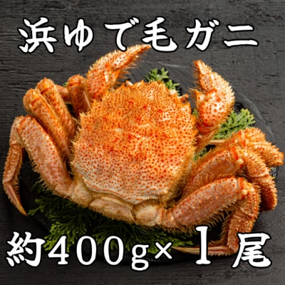 流氷明け浜ゆで毛ガニ約400g