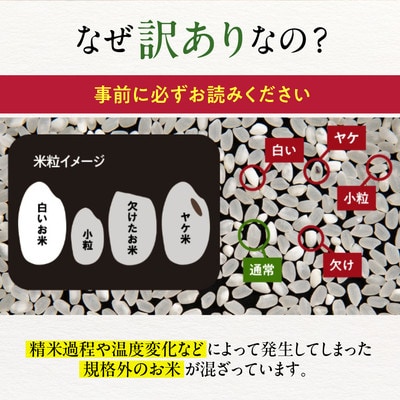 訳あり 北海道ブレンド米20kg(5kg×4)