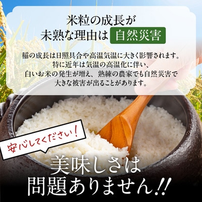 訳あり 北海道ブレンド米20kg(5kg×4)