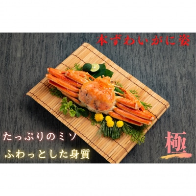 本ずわいがに姿 大型サイズ2杯 | ふるさと納税のお礼品