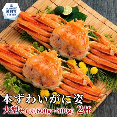 【訳あり】本ずわいがに姿　大型サイズ2杯 約600～800g