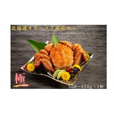 北海道産毛ガニ　500～650g×1杯 | ふるさと納税のお礼品