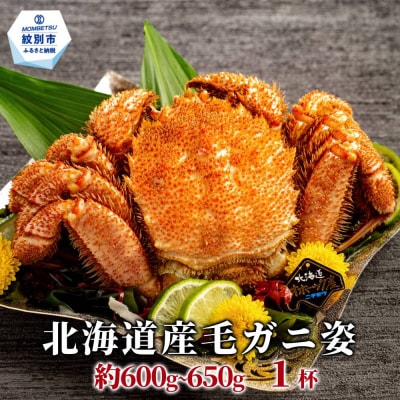 北海道産毛ガニ　約500～650g×1杯★