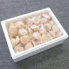 【訳あり】帆立『まる特』フレーク1.2kg