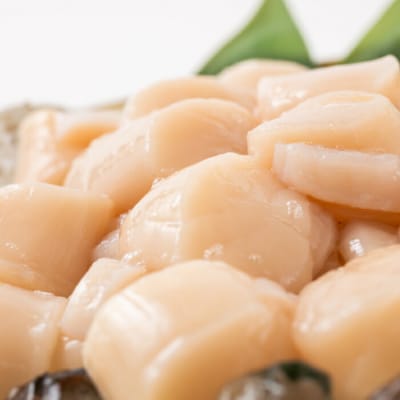 大粒!冷凍帆立貝柱500g×2(計1kg) | ホタテ ほたて 玉冷★